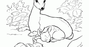 Coloring Pages Of A Deer For education new animal deer coloring pages
